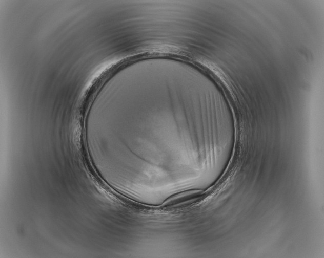 X0000113051115200909241449