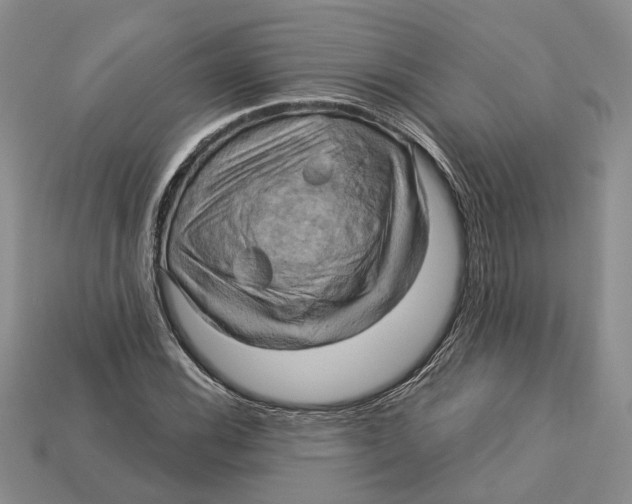 X0000113051116200909241449