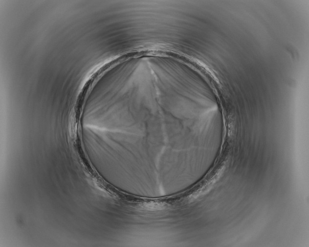 X0000113051117200909241449