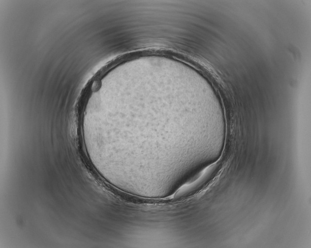 X0000113051118200909241449