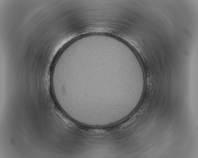 X0000113051119200909241449