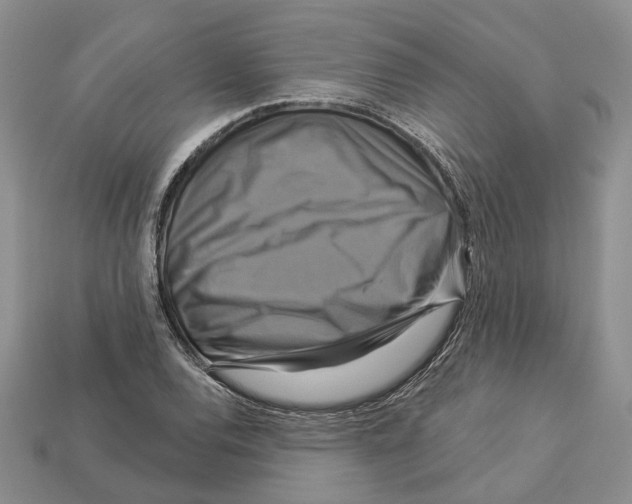 X0000113051120200909241449