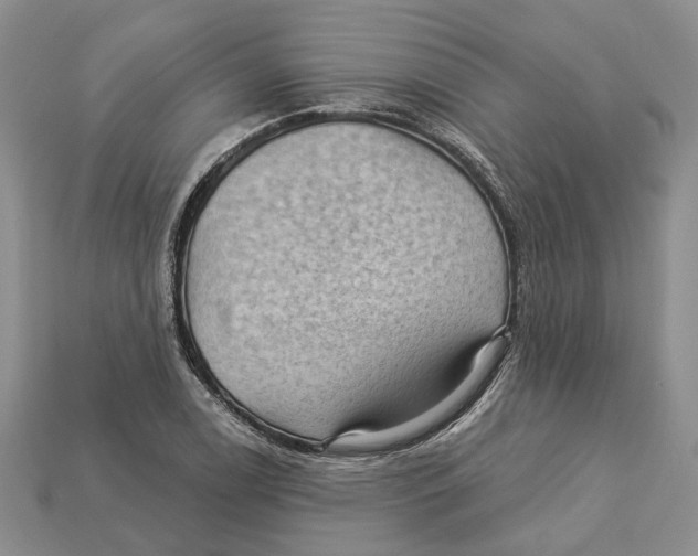 X0000113051122200909241449