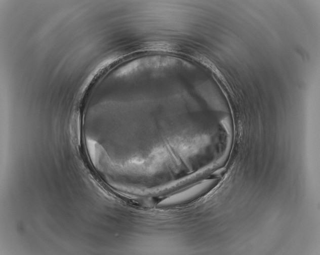 X0000113051123200909241449