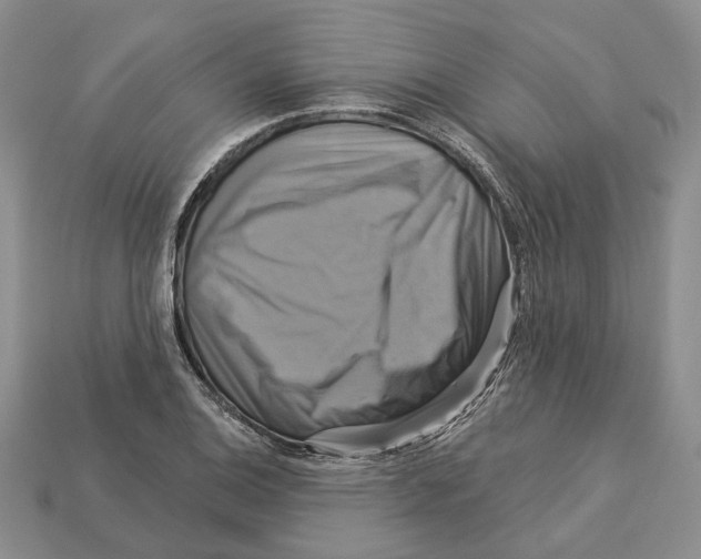 X0000113051124200909241449