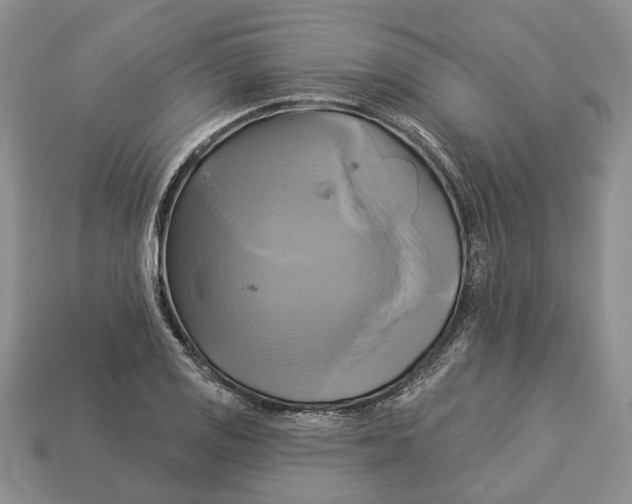X0000113051125200909241449