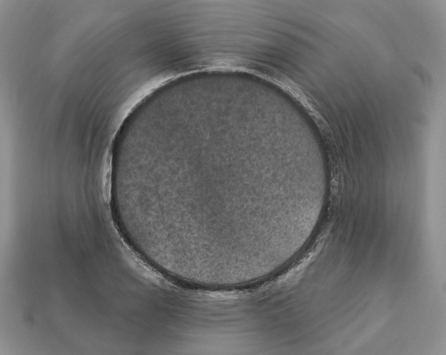 X0000113051126200909241449
