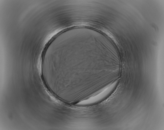 X0000113051127200909241450