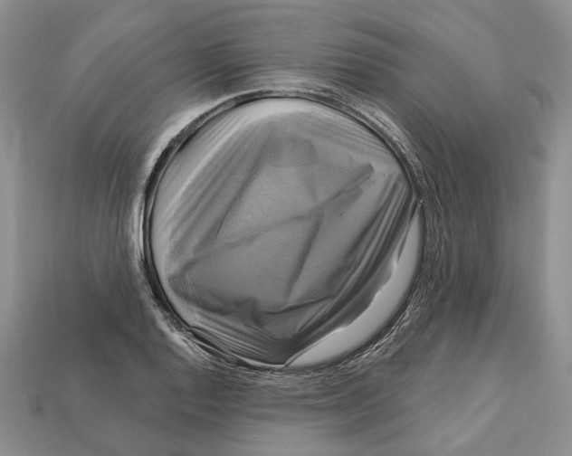 X0000113051128200909241450