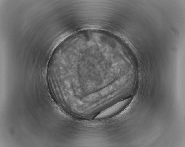 X0000113051129200909241450