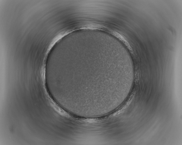X0000113051130200909241450