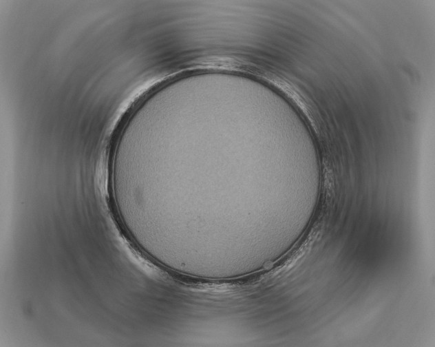 X0000113051131200909241450