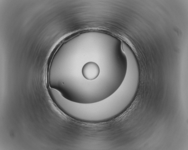 X0000113051132200909241450