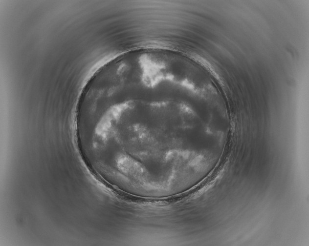 X0000113051133200909241450