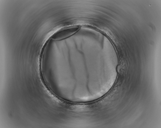 X0000113051134200909241450