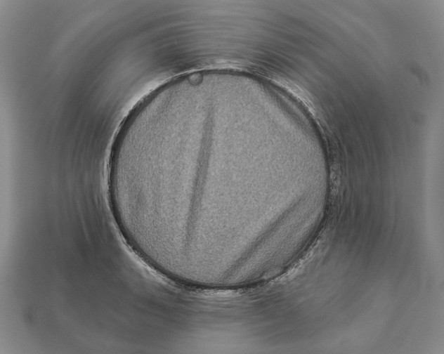 X0000113051135200909241450
