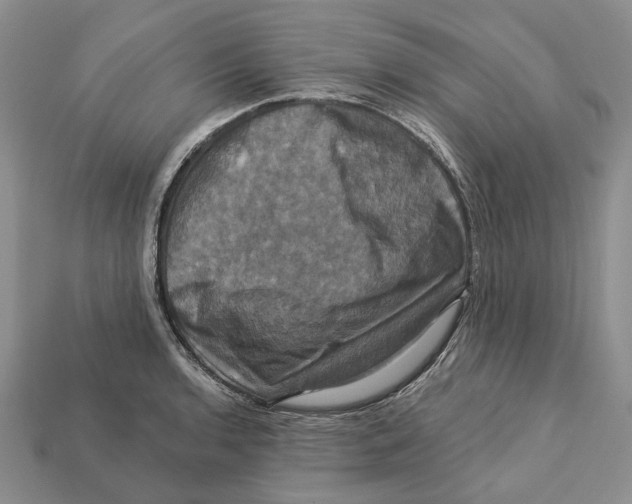 X0000113051136200909241450