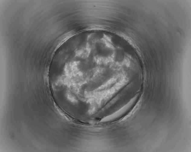 X0000113051137200909241450
