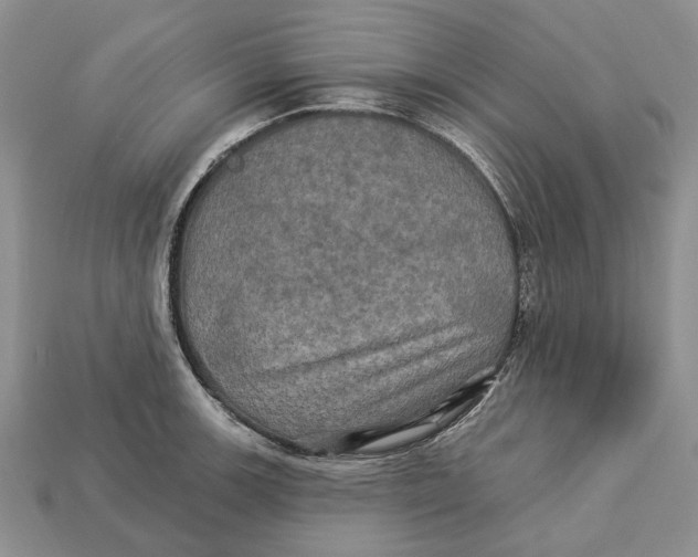 X0000113051139200909241450