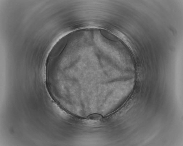X0000113051140200909241450