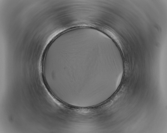 X0000113051141200909241450