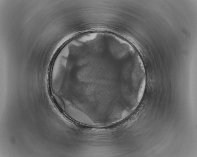 X0000113051142200909241450