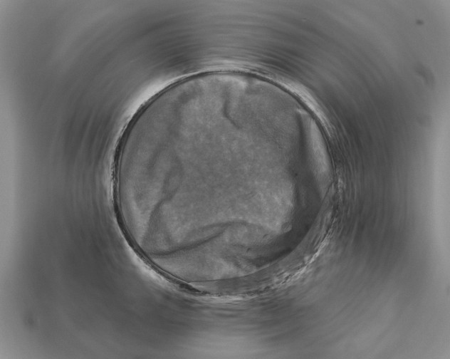 X0000113051143200909241450