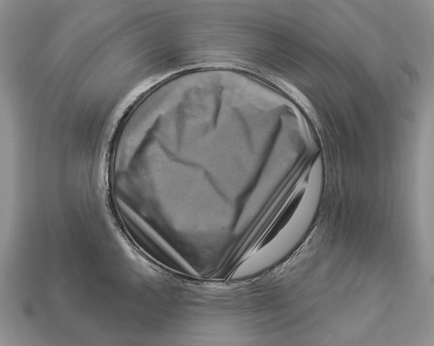 X0000113051144200909241450