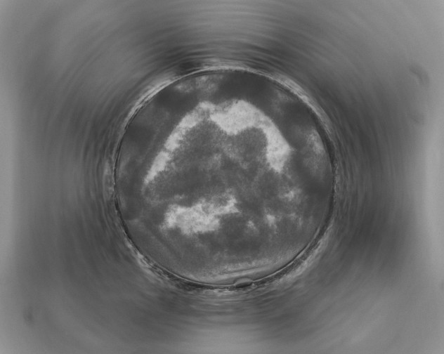 X0000113051145200909241450