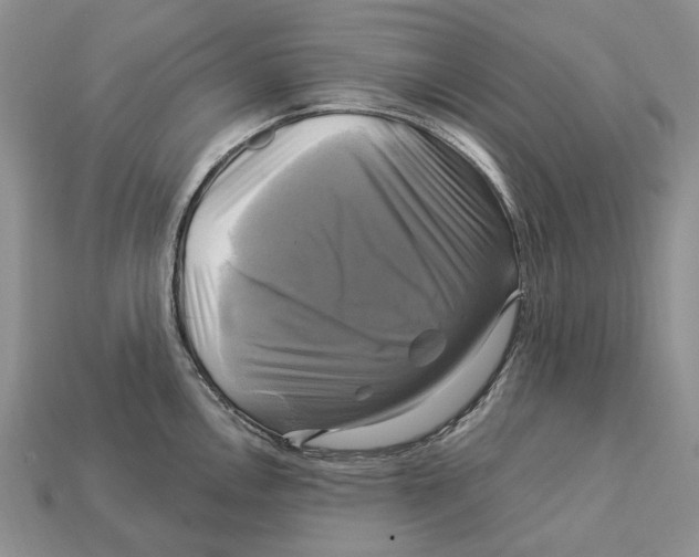 X0000113051146200909241450