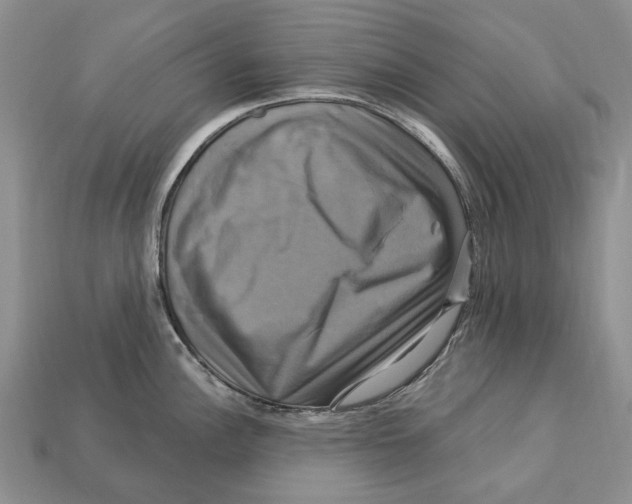 X0000113051148200909241450