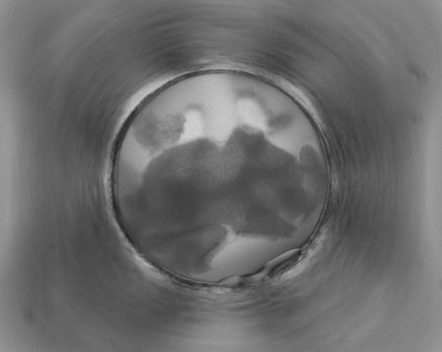 X0000113051149200909241450