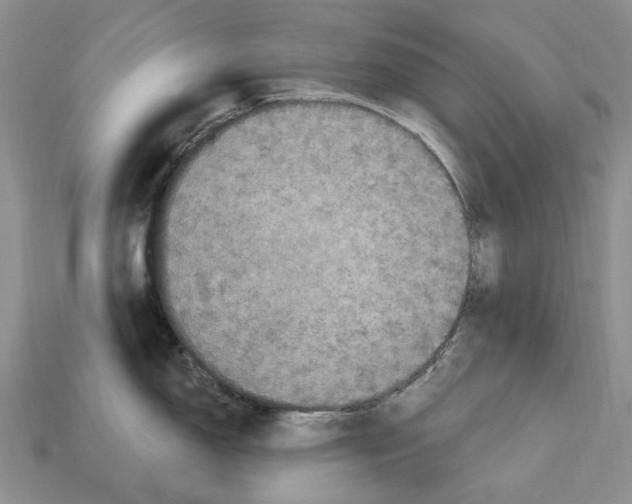 X0000113051150200909241450