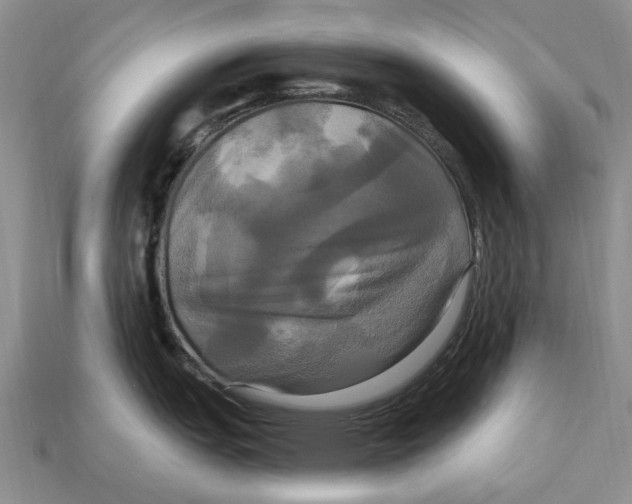 X0000113051151200909241450