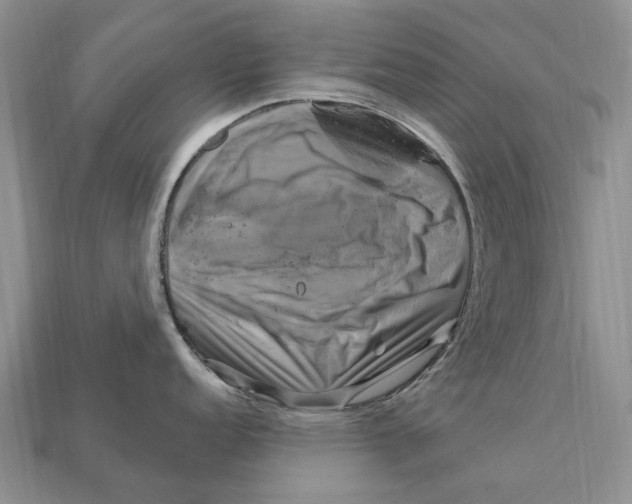 X0000113051152200909241450