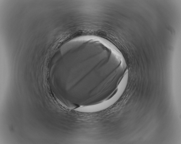 X0000113051153200909241449