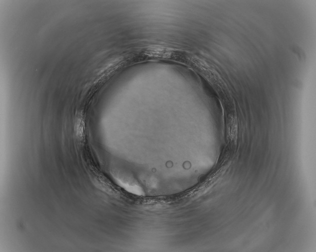 X0000113051154200909241449