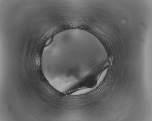 X0000113051155200909241449