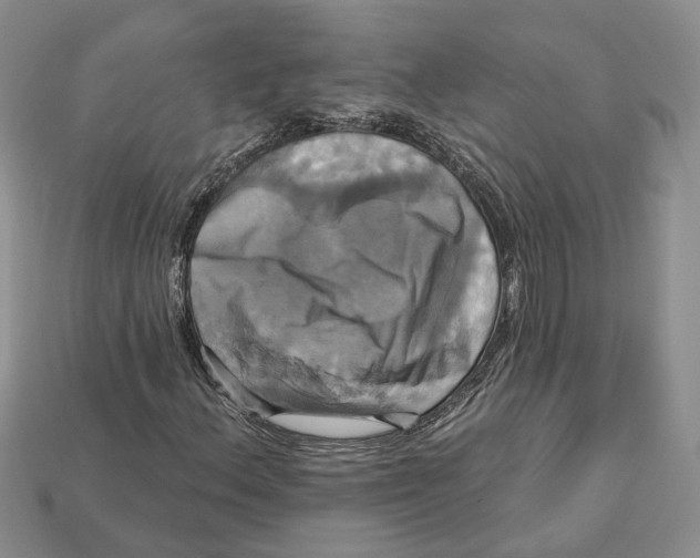 X0000113051156200909241449