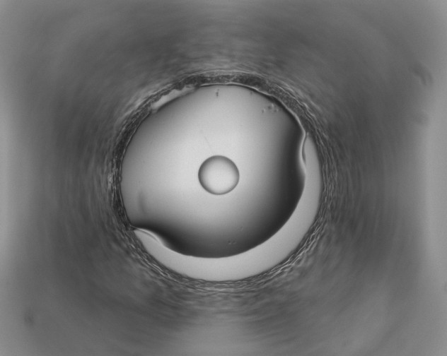 X0000113051157200909241449
