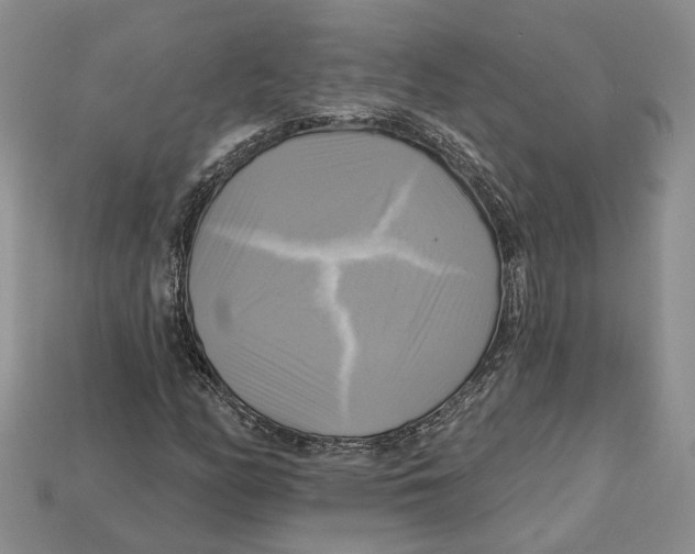 X0000113051158200909241449