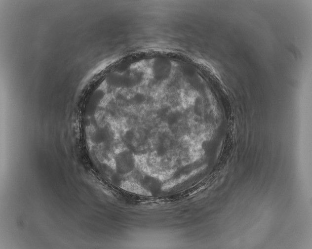 X0000113051159200909241449