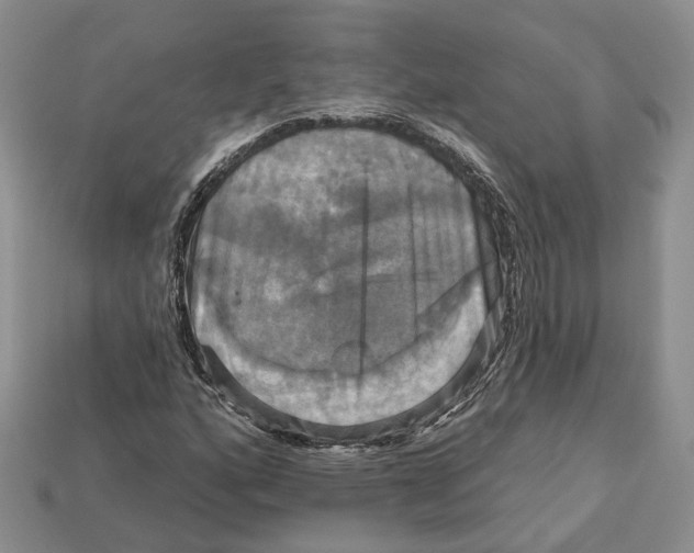 X0000113051160200909241449
