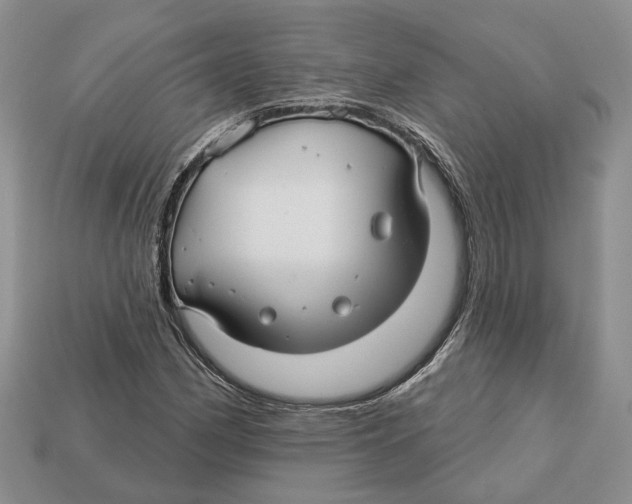 X0000113051162200909241449