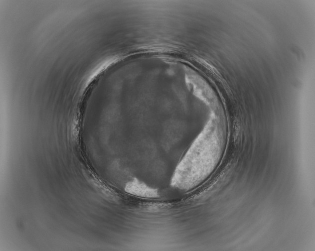 X0000113051163200909241449