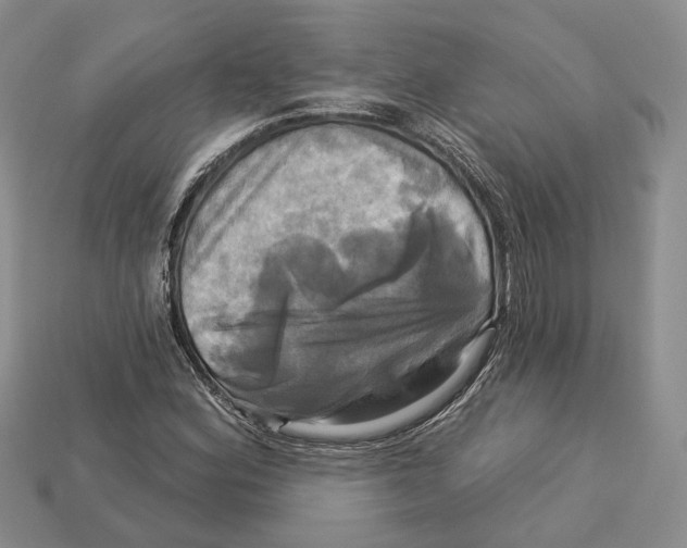 X0000113051164200909241449