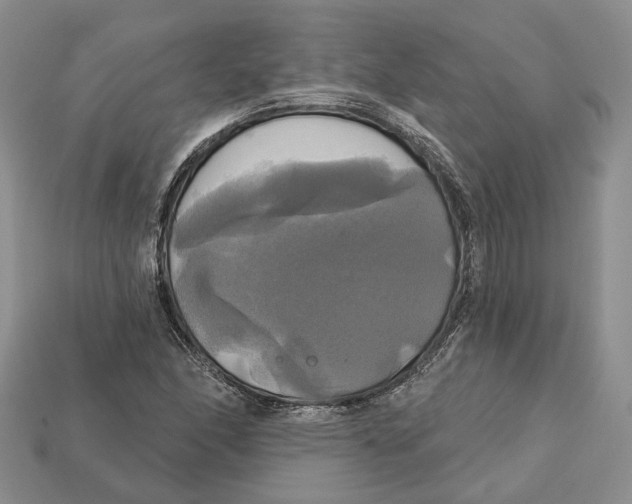 X0000113051166200909241449