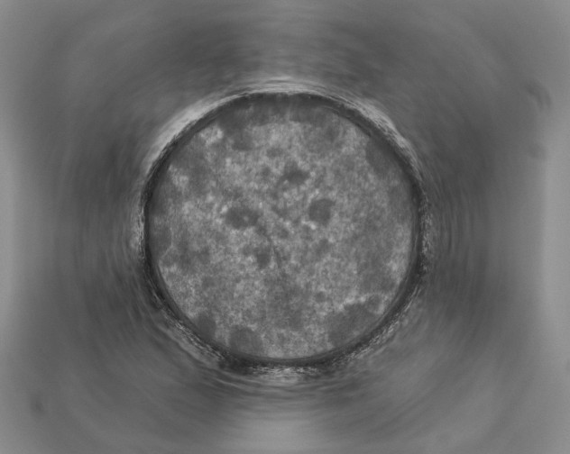X0000113051167200909241449
