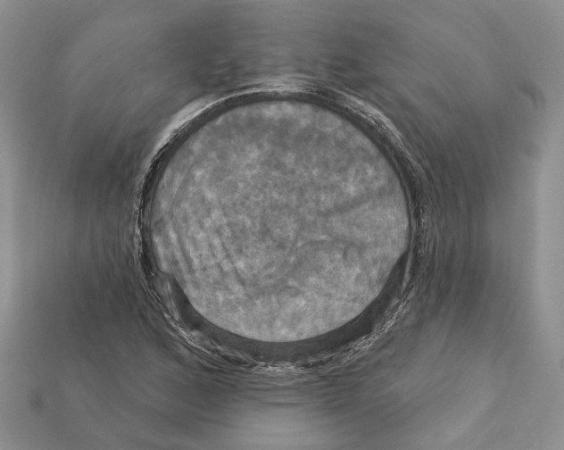 X0000113051168200909241449