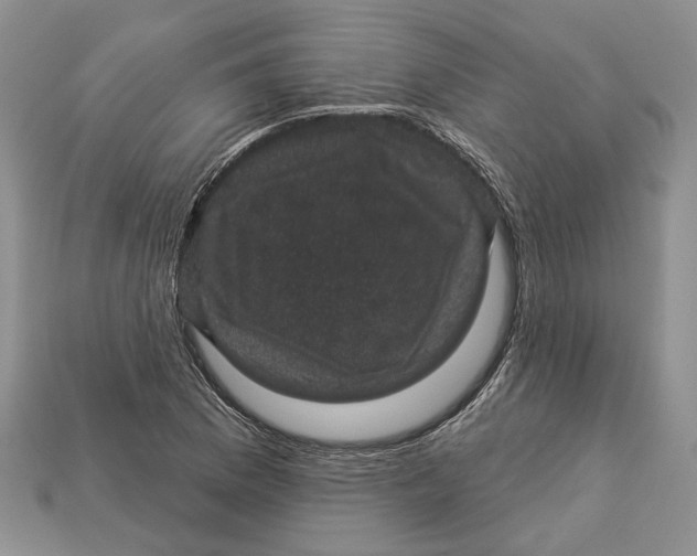 X0000113051169200909241449
